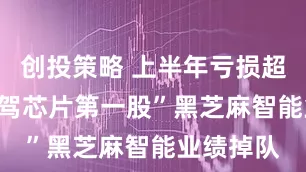 创投策略 上半年亏损超7亿 “智驾芯片第一股”黑芝麻智能业绩掉队